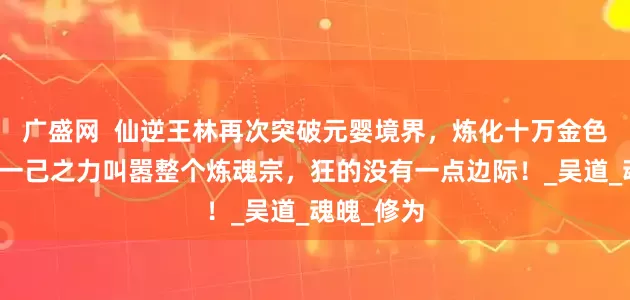 广盛网  仙逆王林再次突破元婴境界，炼化十万金色禁幡，以一己之力叫嚣整个炼魂宗，狂的没有一点边际！_吴道_魂魄_修为