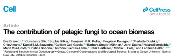 中金策略 谁是海洋碳循环大推手？海大研究登上《细胞》：忽视它们或致气候预测重大偏差