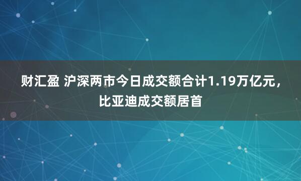 财汇盈 沪深两市今日成交额合计1.19万亿元，比亚迪成交额居首
