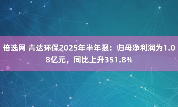 倍选网 青达环保2025年半年报：归母净利润为1.08亿元，同比上升351.8%