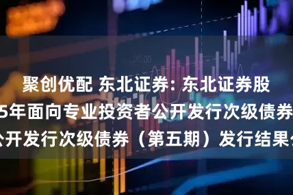 聚创优配 东北证券: 东北证券股份有限公司2025年面向专业投资者公开发行次级债券（第五期）发行结果公告